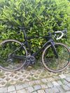 Pinarello Prince