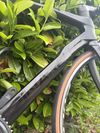 Pinarello Prince
