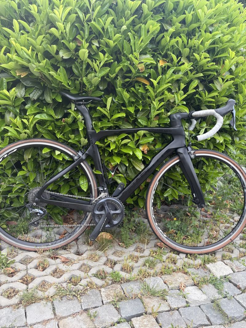 Pinarello Prince