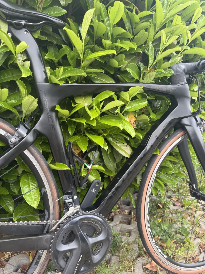 Pinarello Prince