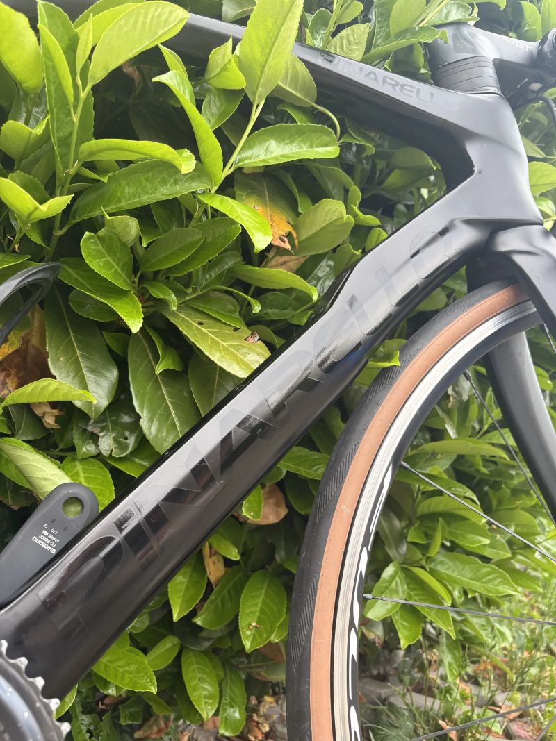 Pinarello Prince