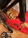 Specialized