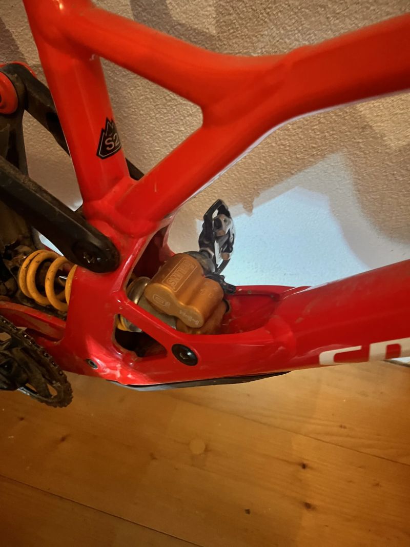 Specialized