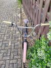 Flybikes Proton