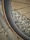Trek Madone SL7