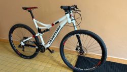 Cannondale Scalpel 29"