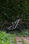Specialized Stumpjumper Evo