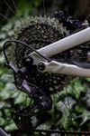 Specialized Stumpjumper Evo