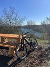 Cannondale Jekyll 2024/ MX