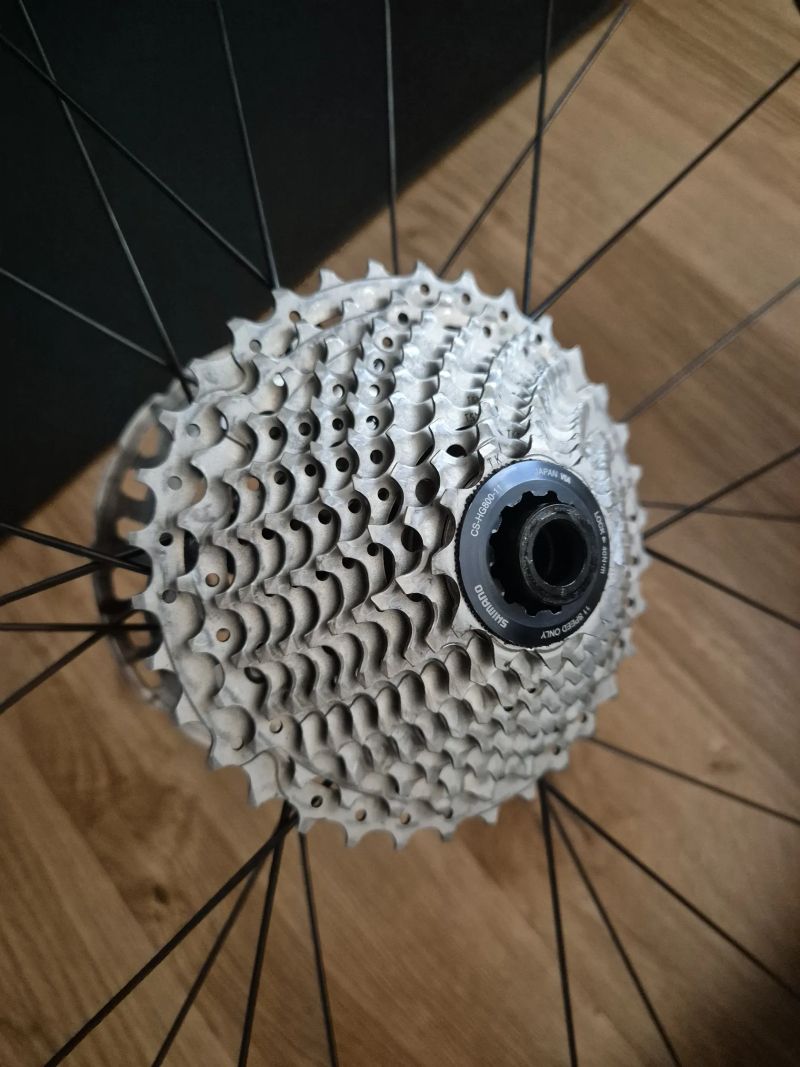 Canyon Endurace CF SL 8 + wattmetr 4iii + bohaté vybavení