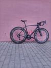 Specialized Tarmac Pro Race | Zipp 808 | FACT Carbon | Shimano Ultegra
