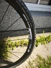 Gravel STEVENS