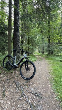 Eezee comfortline elektrokolo ebike L 