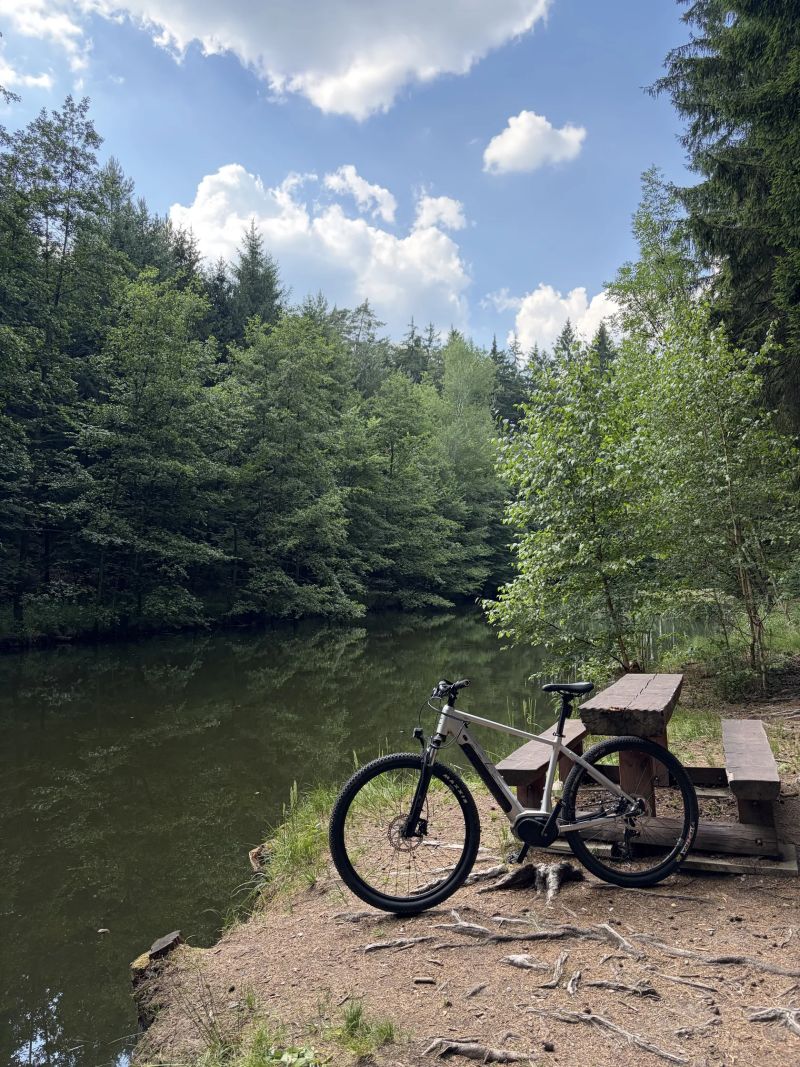 Eezee comfortline elektrokolo ebike L 