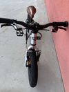 Early Rider Belter 14 Jr.