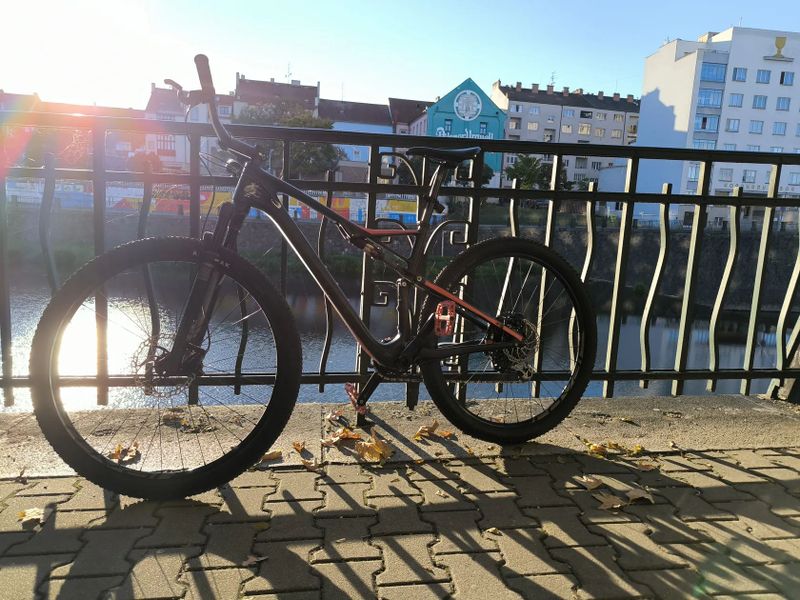 Specialized 2017