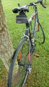 Wilier Izoard