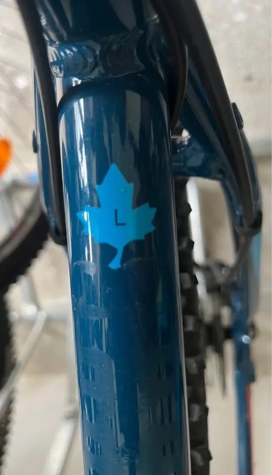 Focus Whistler