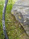 DT Swiss ER 1600 DICUT