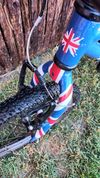 Frog England