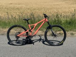 Specialized Stumpjumper
