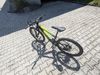 Orbea MX24 Team