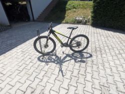 Orbea MX24 Team