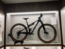 Polygon SYNCLINE DR6