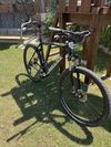Kellys Spider 90