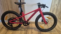Specialized Riprock 20