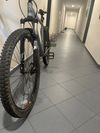 Fuji Hardtail
