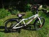 Superior 20"