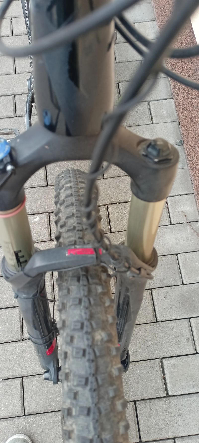 Specialized Carve