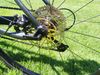 Triban RC500, kola MAVIC Allroad