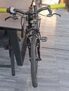 Amulet TEAM 24 ALLOY