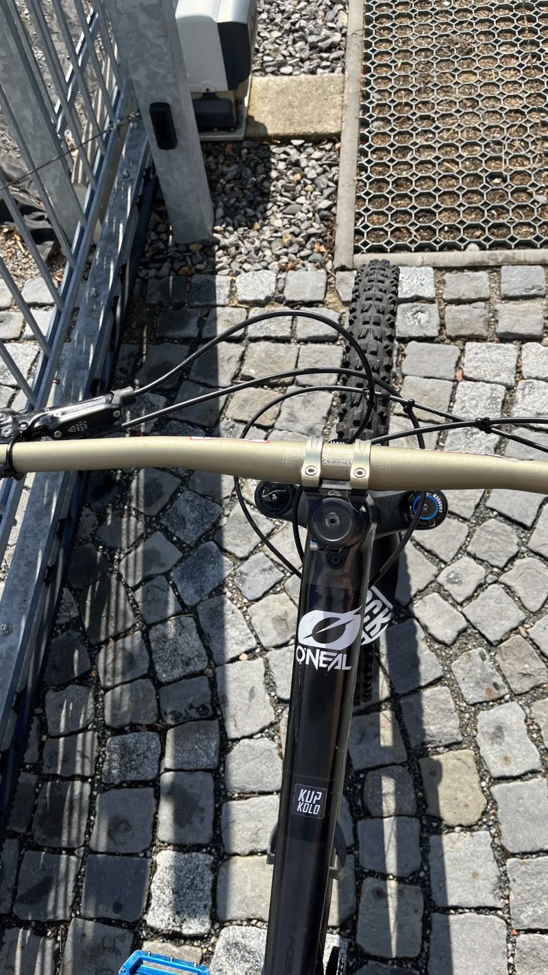 Trek Remedy 8