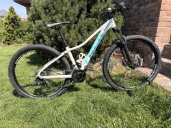 Trek Marin 5