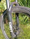Mongoose DiRT