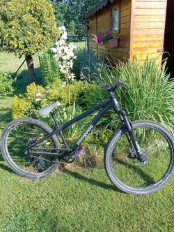 Mongoose DiRT