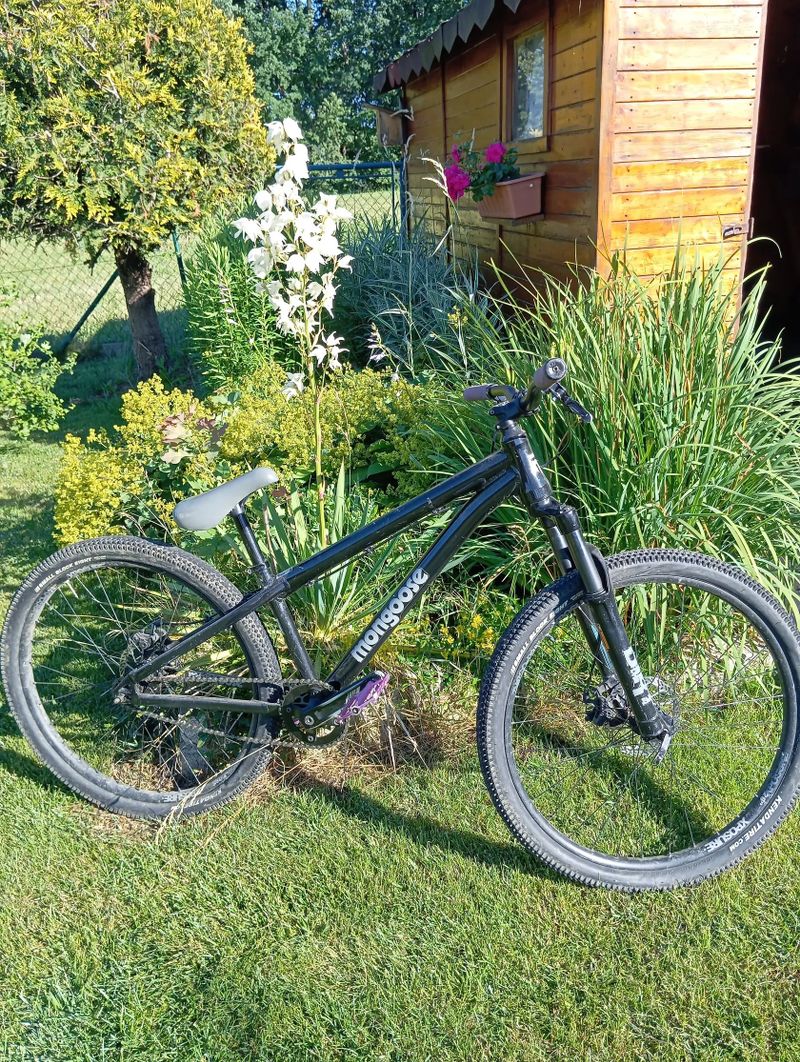 Mongoose DiRT