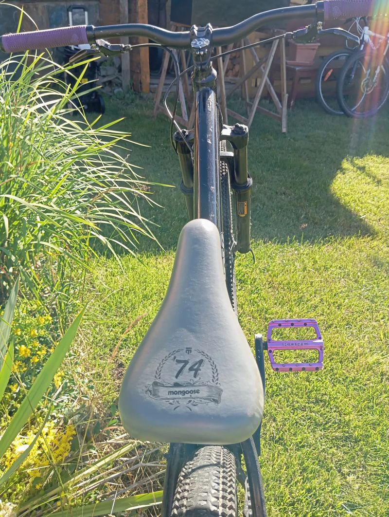 Mongoose DiRT