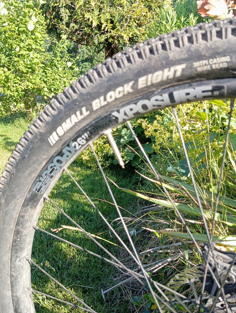 Mongoose DiRT