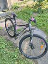 Kross Lea 5.0 29 Růžová/šedá