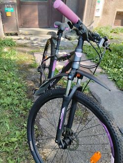Kross Lea 5.0 29 Růžová/šedá