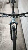 Specialized Stumpjumper 15 Comp Carbon mullet