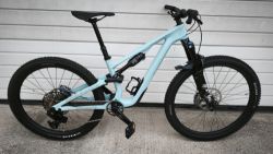 Specialized Stumpjumper 15 Comp Carbon mullet