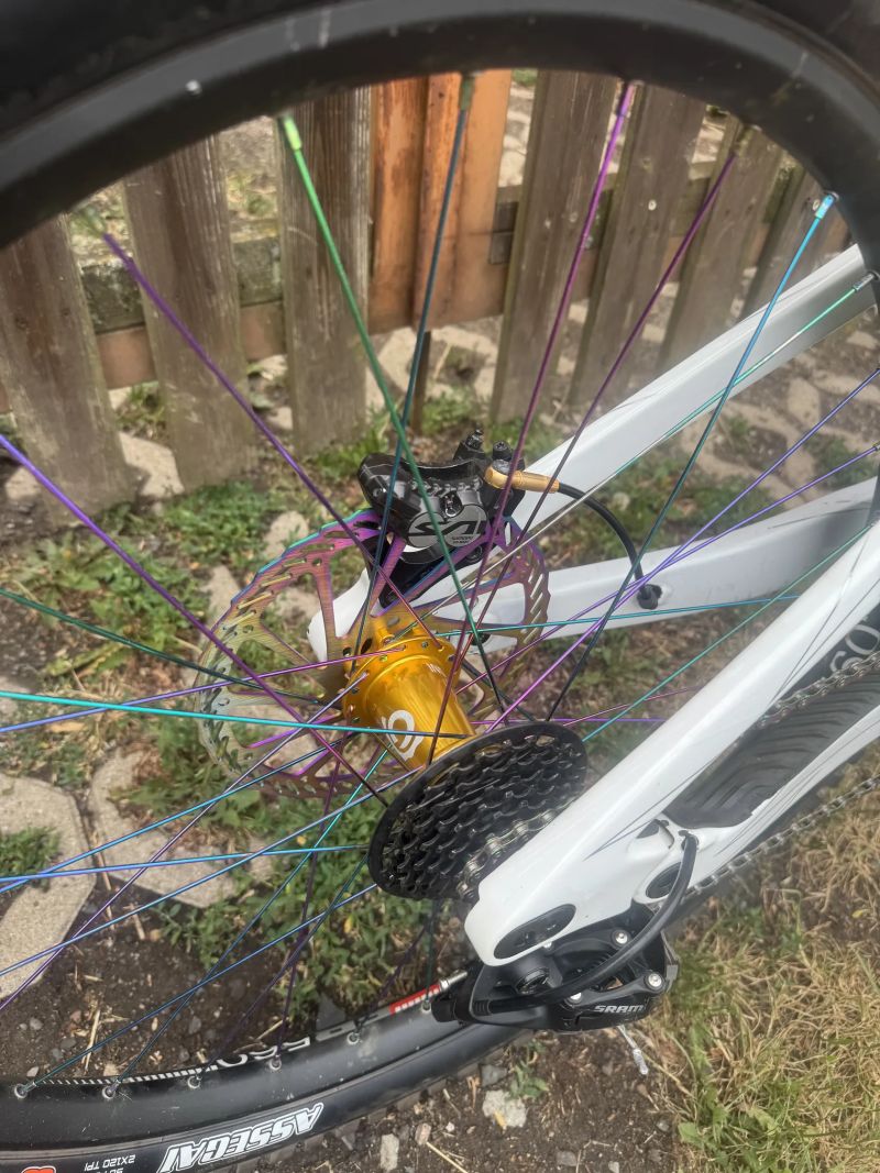 Scott Gambler 900 Tuned