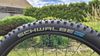 Canyon Strive CF TOP stav