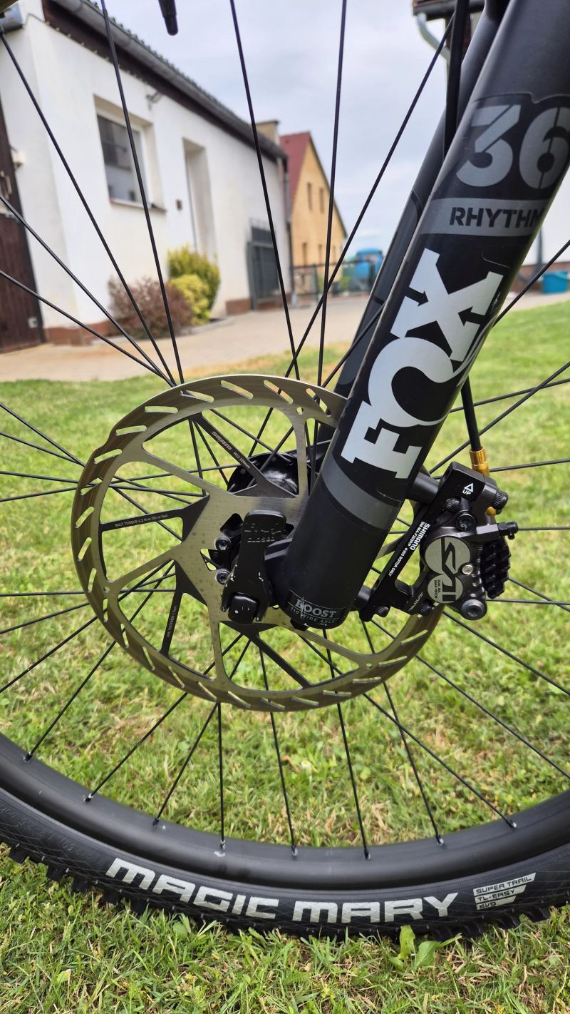 Canyon Strive CF TOP stav
