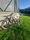 Giant Trance X E+ 3 Pro 29 (2021)